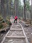 Babia Gora National Park - Krowiarki trail