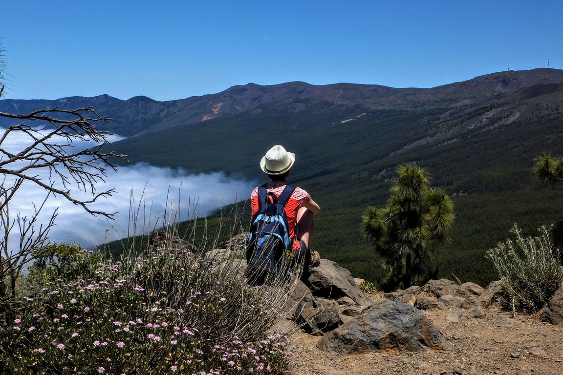 Contemplating the nature in Teide National Park