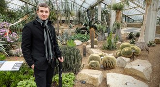 Visiting Royal Kew Gardens in London