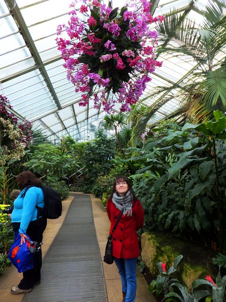 Royal Botanic Gardens in Kew, London