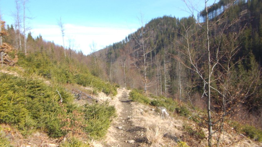 hiking in Zywiec Beskid mountain range, southern Poland