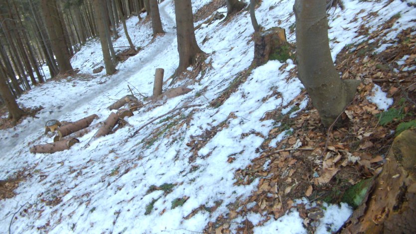 hiking in Zywiec Beskid mountain range, southern Poland