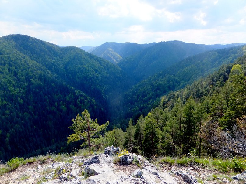 Slovak Paradise National Park in Slovakia