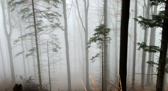 Family-friendly hiking trails in Polish Beskid mountains