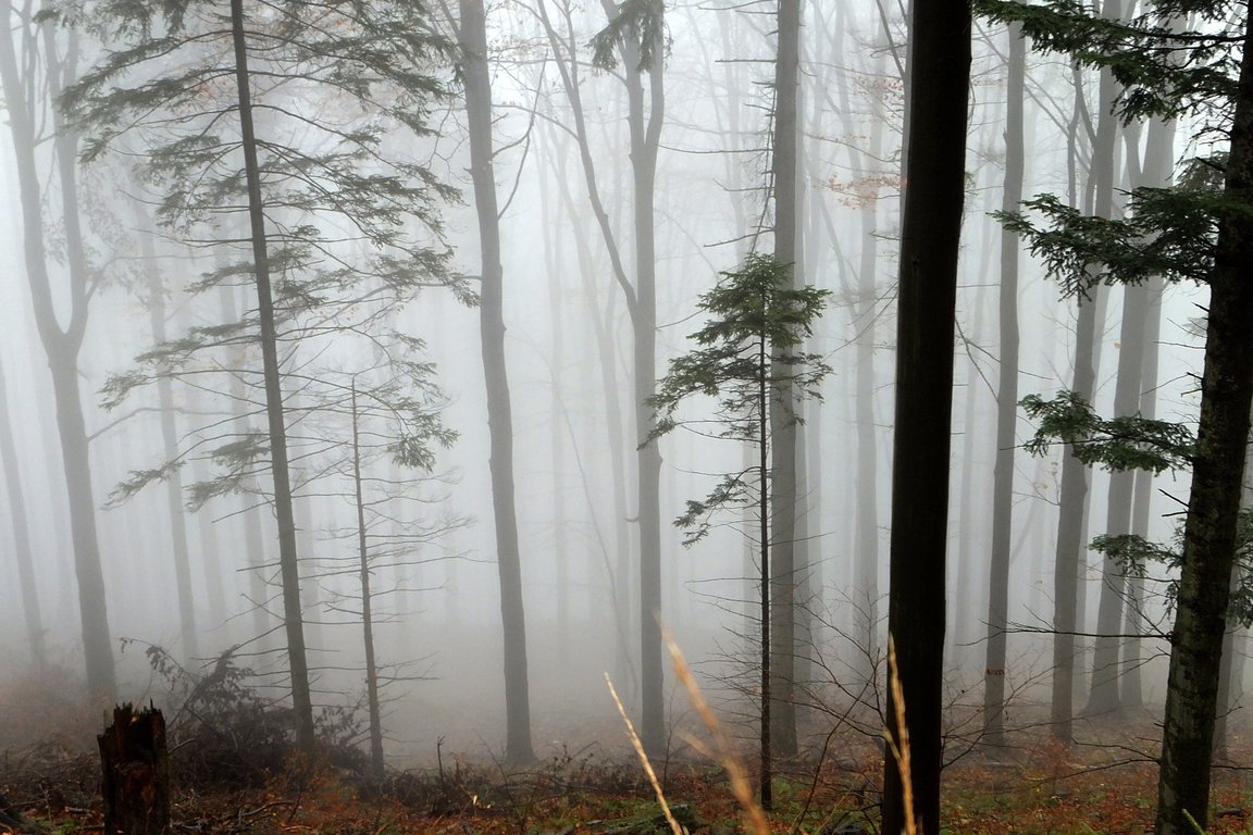 Family-friendly hiking trails in Polish Beskid mountains