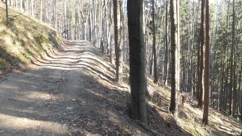 Family-friendly hiking trails in Zywiec Beskid mountain range, southern Poland