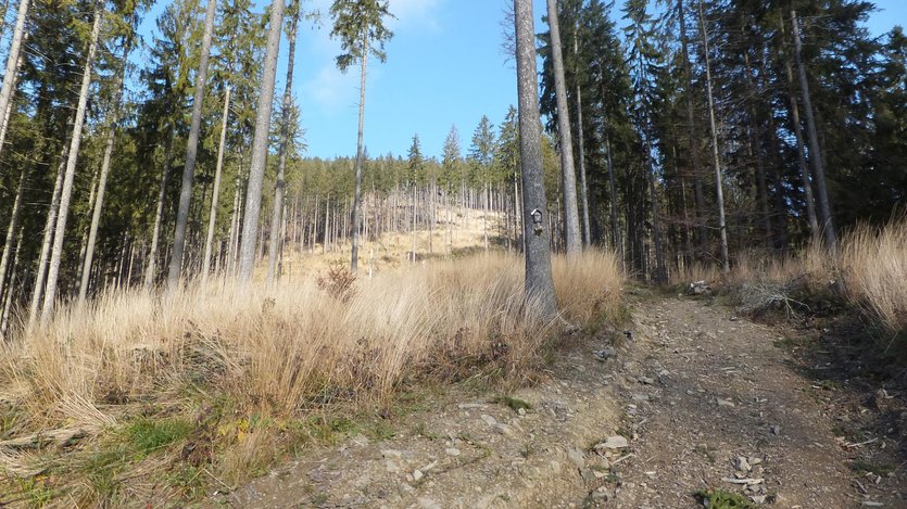 Family-friendly hiking trails in Zywiec Beskid mountain range, southern Poland