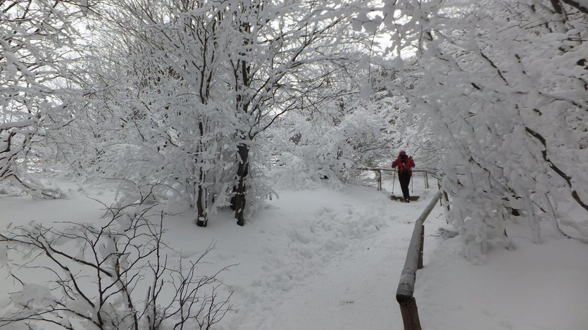 Bieszczady mountains, Poland