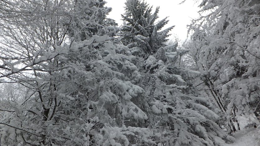 Bieszczady mountains, Poland