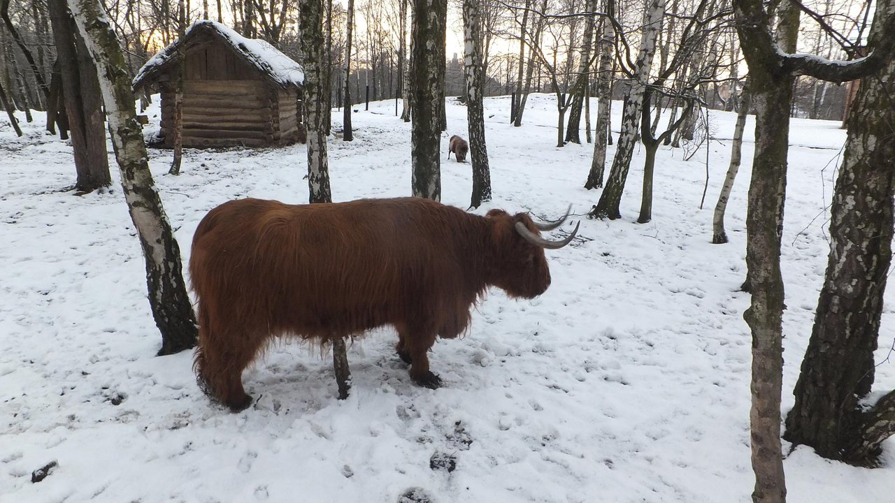Rogow, Silesia, southern Poland
