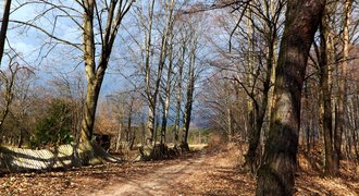 Jura Krakowsko-Czestochowska, Zloty Potok, autumn in southern Poland