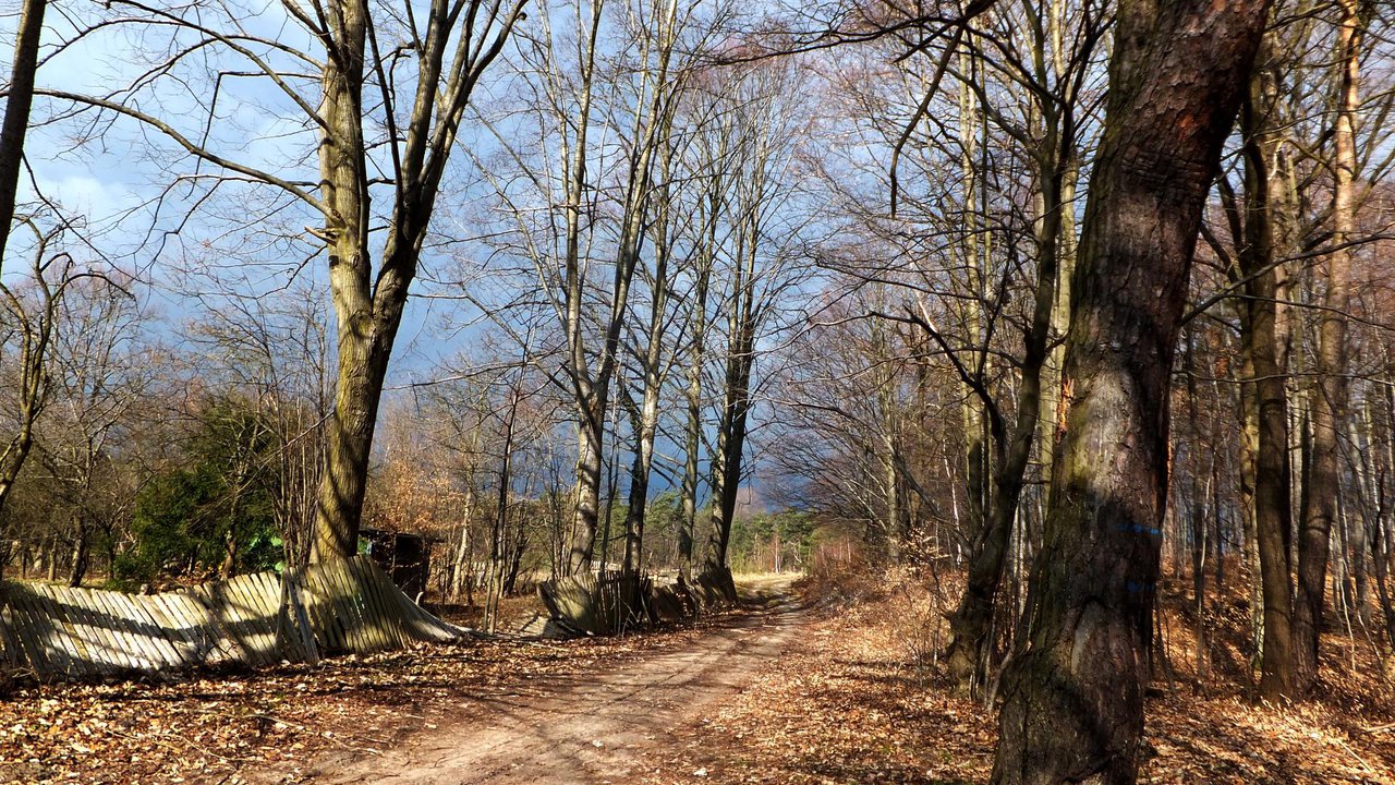 Jura Krakowsko-Czestochowska, Zloty Potok, autumn in southern Poland
