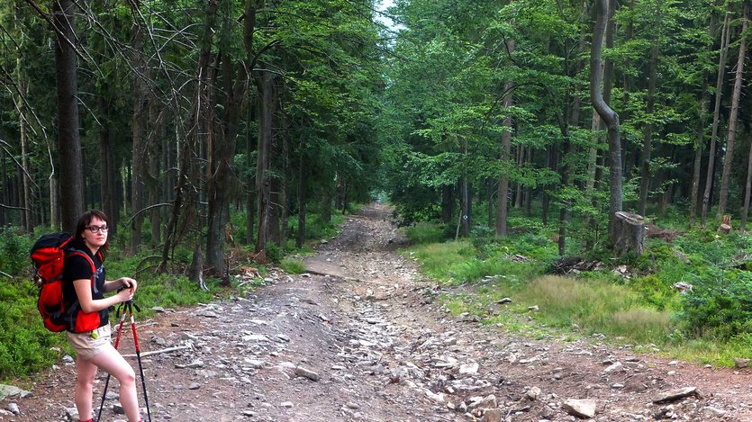 Hiking in Zywiec Beskid mountains, Poland