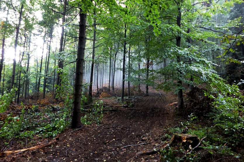 Hiking trails in Little Beskid mountain range in southern Poland