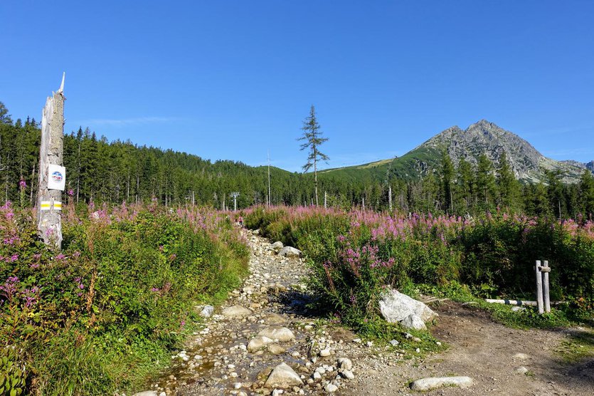 Furkotská_Valley_High_Tatra_mountains_Slovakia