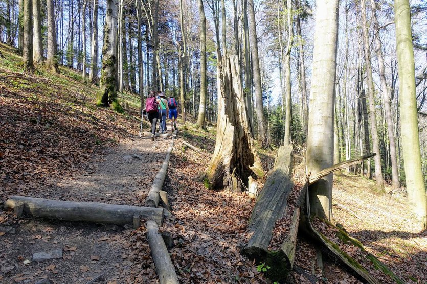 Hiking in Gorce National Park, Poland