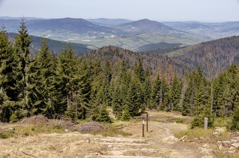 Hiking in Poland_Trail to Turbacz peak in Gorce National Park
