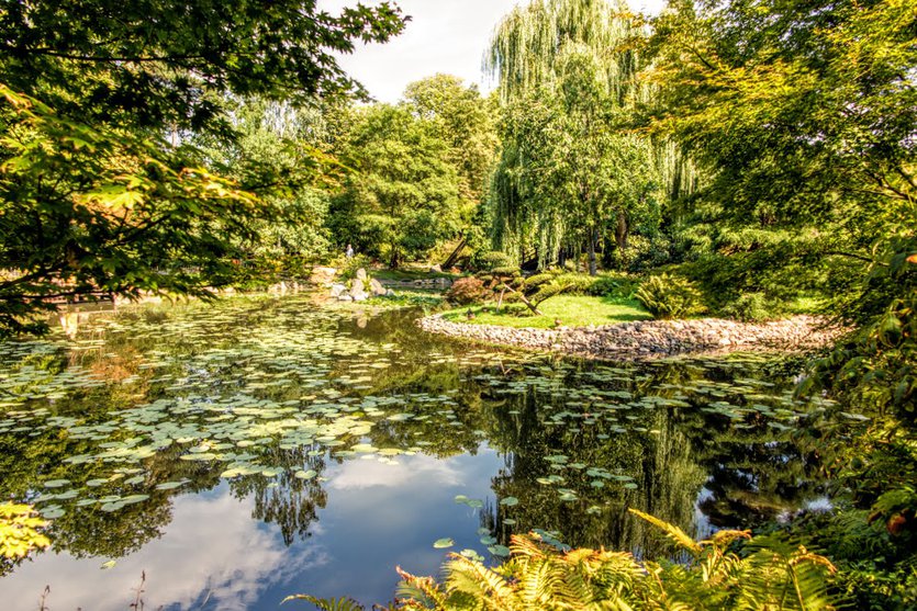 Japanese Garden Wroclaw_Veronika TravelGeekery