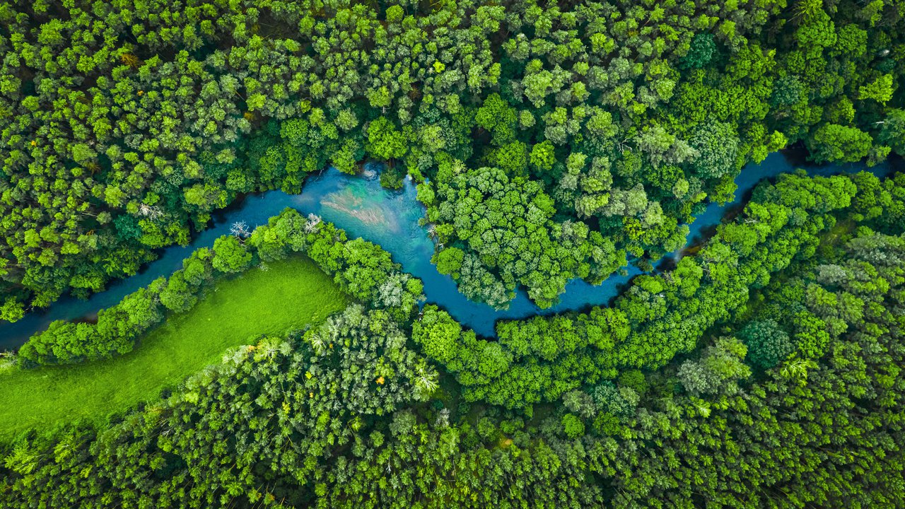 The River in Tuchola Nature Reserve
