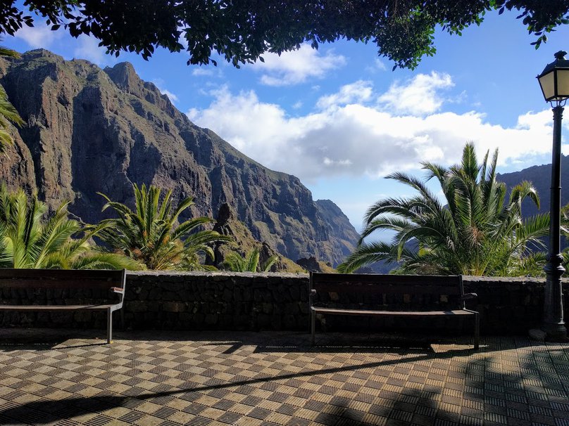 Masca village, palm trees