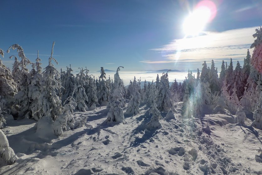 skiing in poland szczyrk