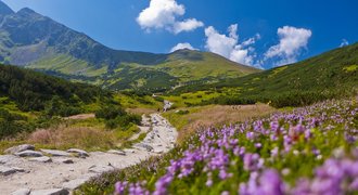 Summer in Tatra National Park, Poland