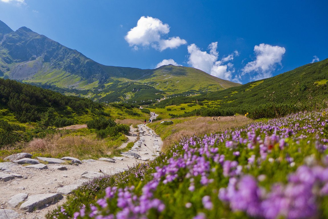 Summer in Tatra National Park, Poland
