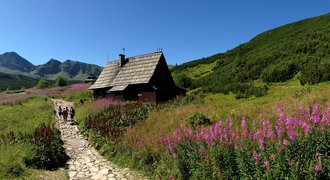Hiking trail in Tatra National Park