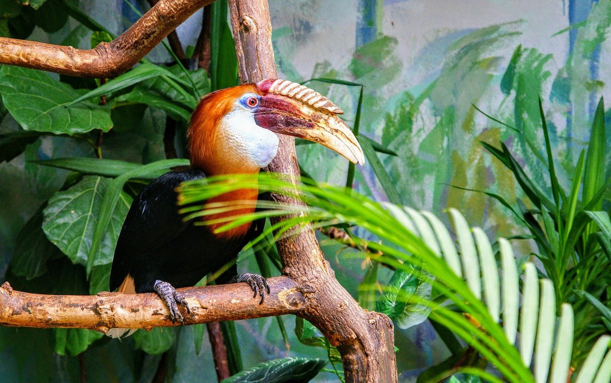 Warsaw Zoo Poland.jpg