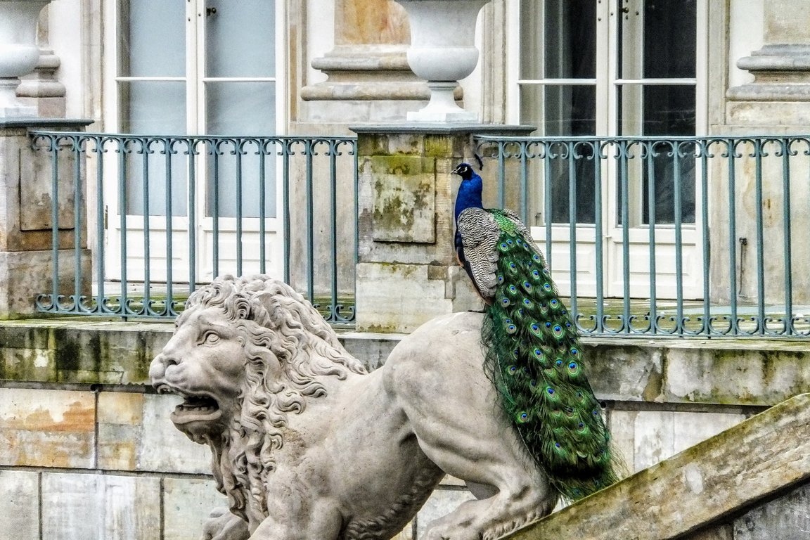 Warsaw attractions