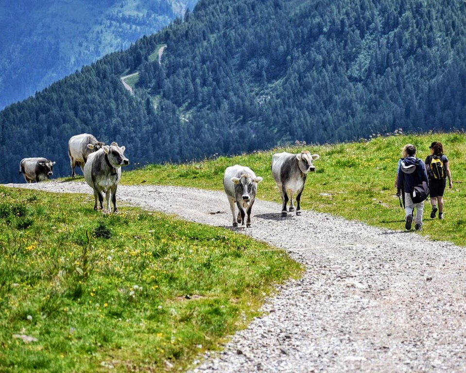 best day hikes in europe.jpeg
