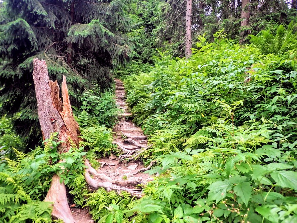 best hikes in poland