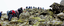 crowded-route-to-the-rysy