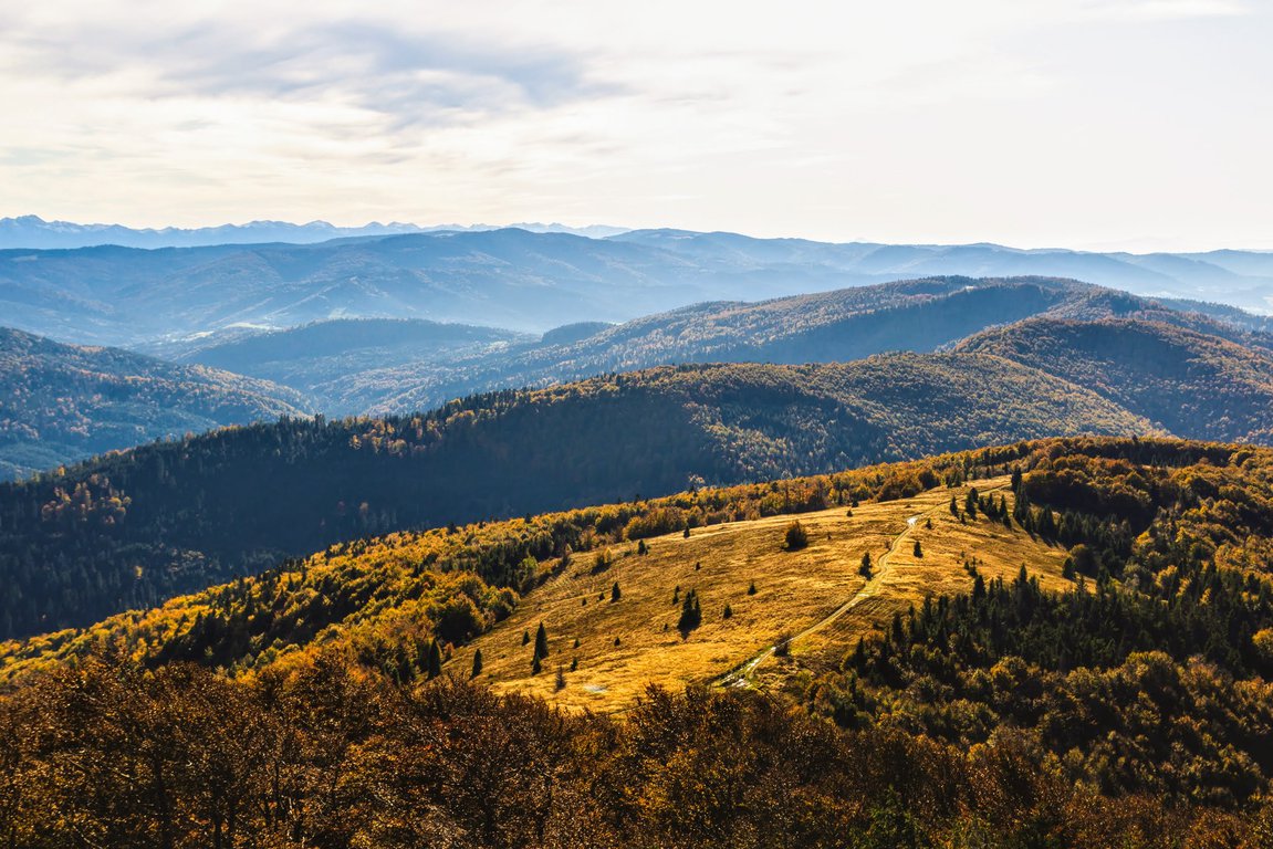 day trip from krakow