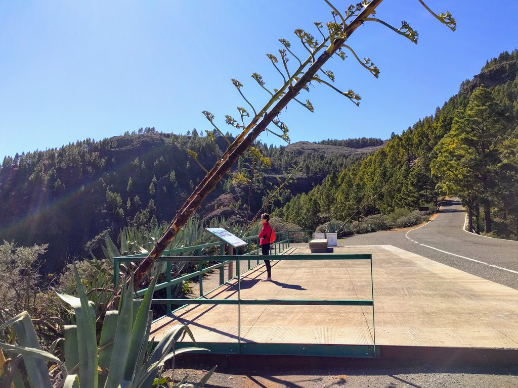 driving in gran canaria