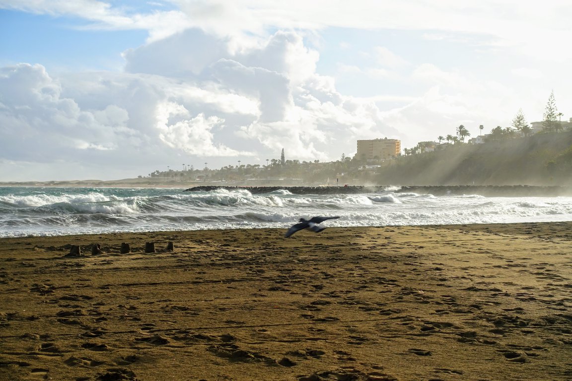 gran canaria travel