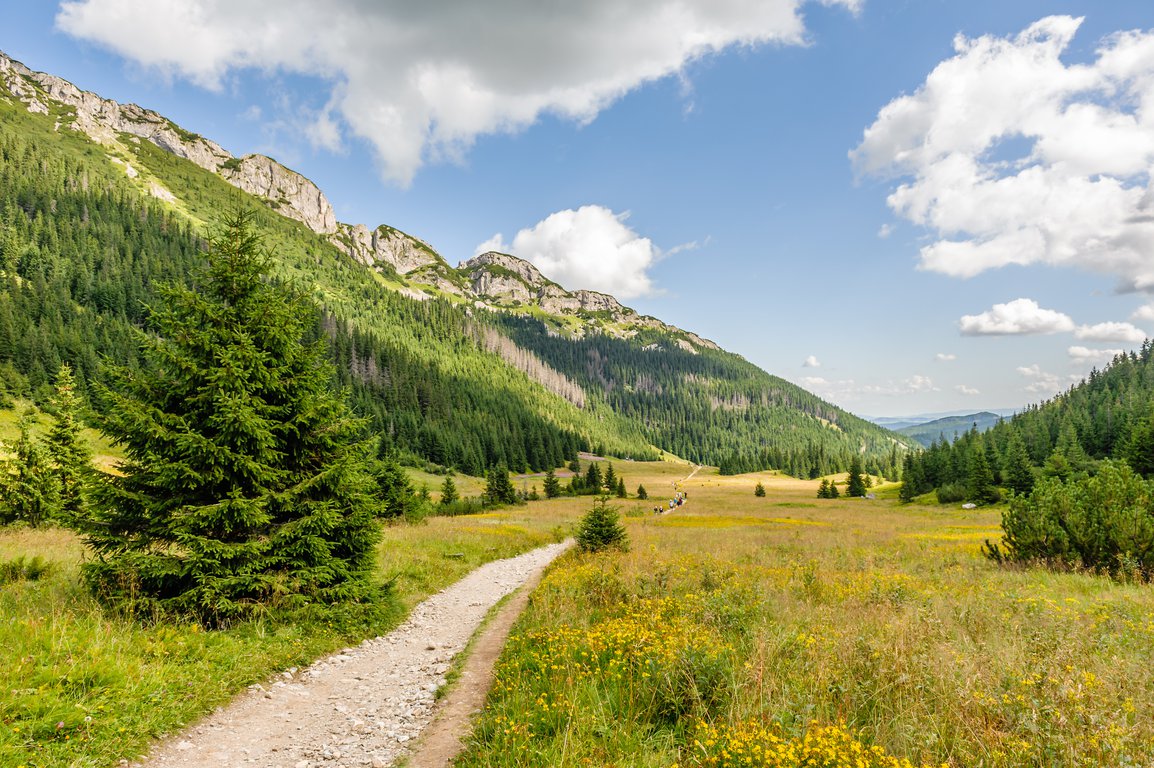hala kondratowa valley