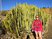 hike gran canaria 2