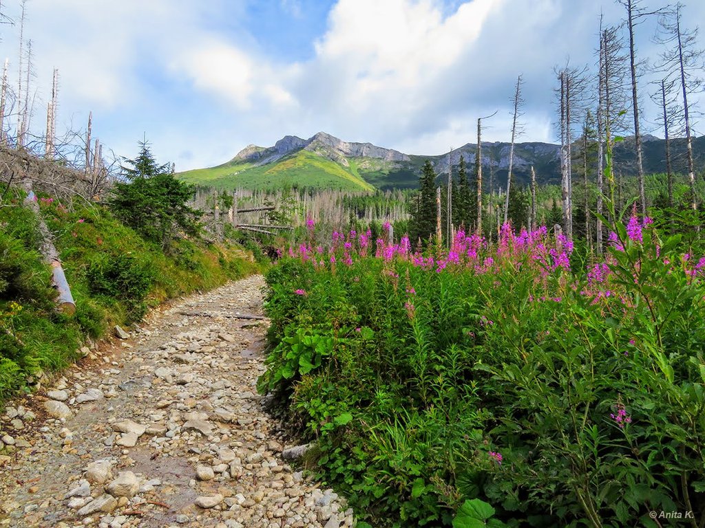 hikes in tatra mountains