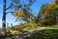 hiking near babia gora