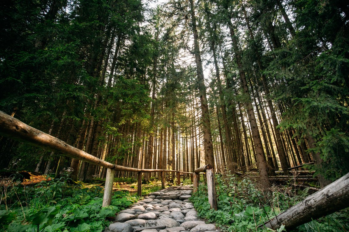 zakopane hike