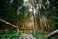 zakopane hike