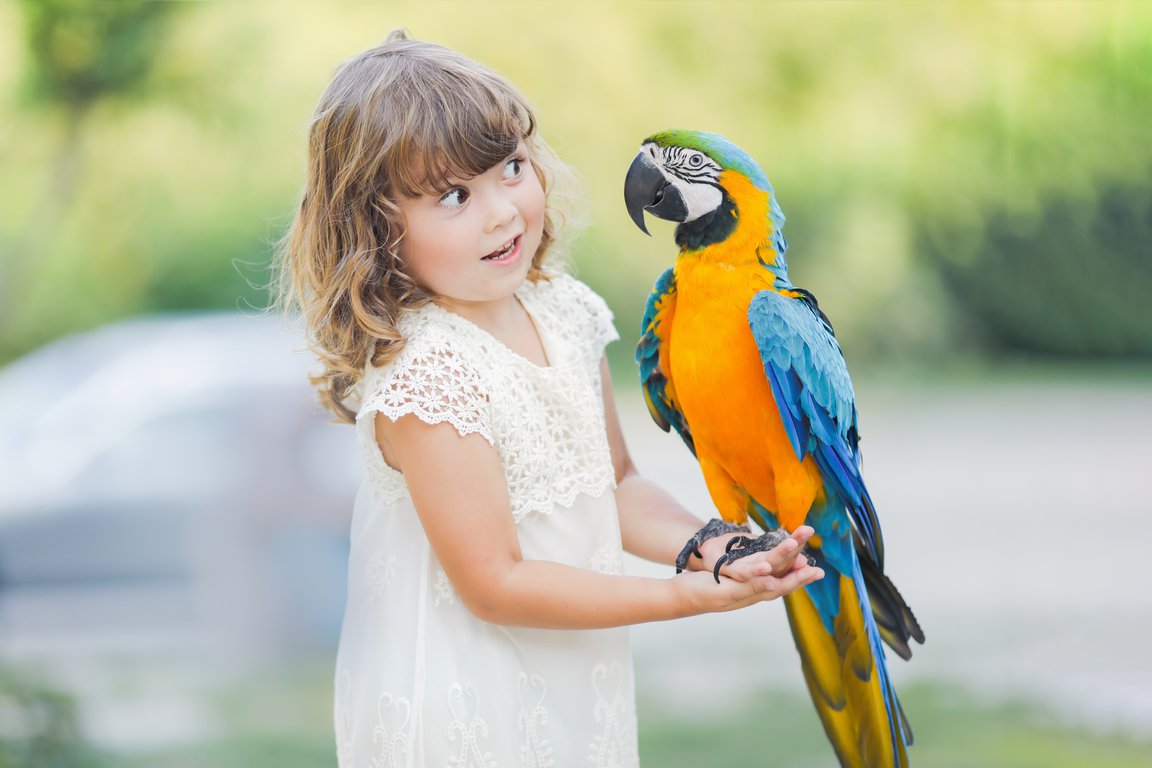 parrot in parrot house zakopane