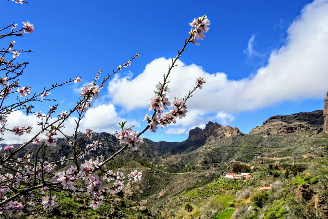 places to visit in gran canaria 1