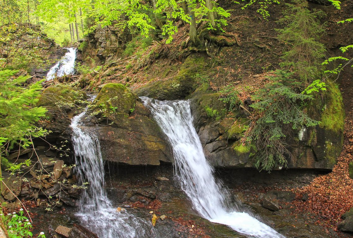 poland nature