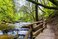 roztocze national park