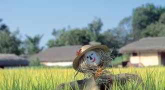 scarecrow