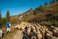 Shepherds in Zakopane