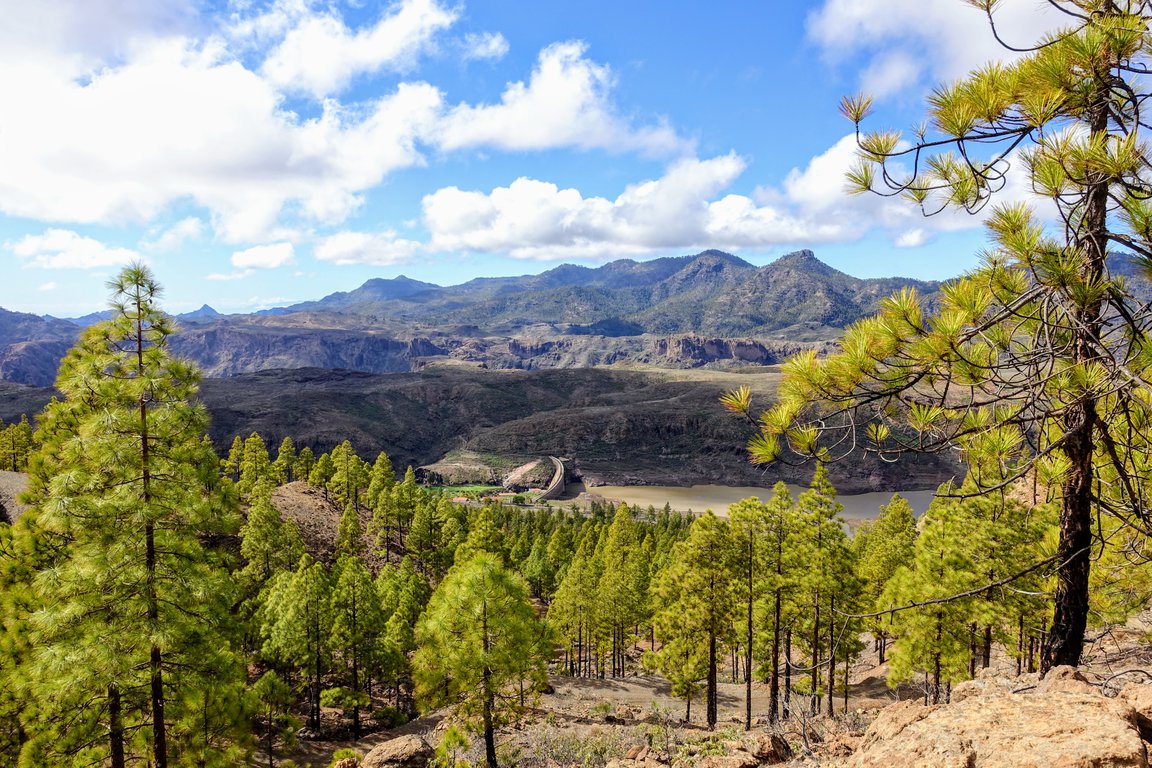 things to do in gran canaria