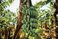 things to do in gran canaria 10